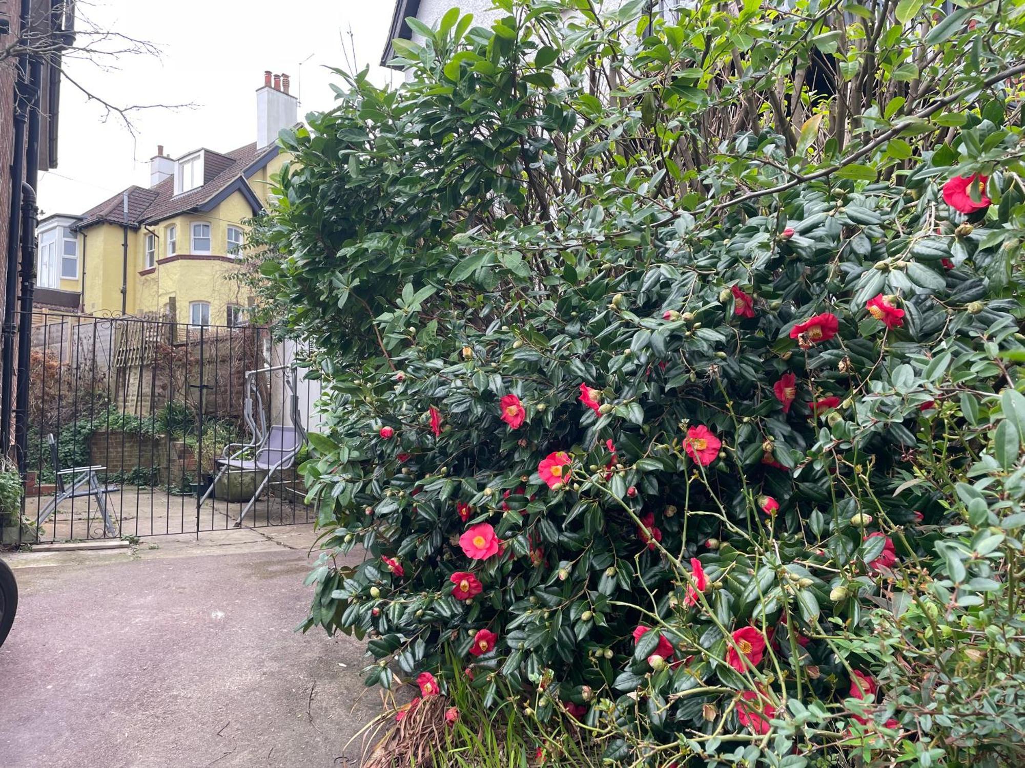 Bed and Breakfast Livadia House At St Leonards On Sea Esterno foto